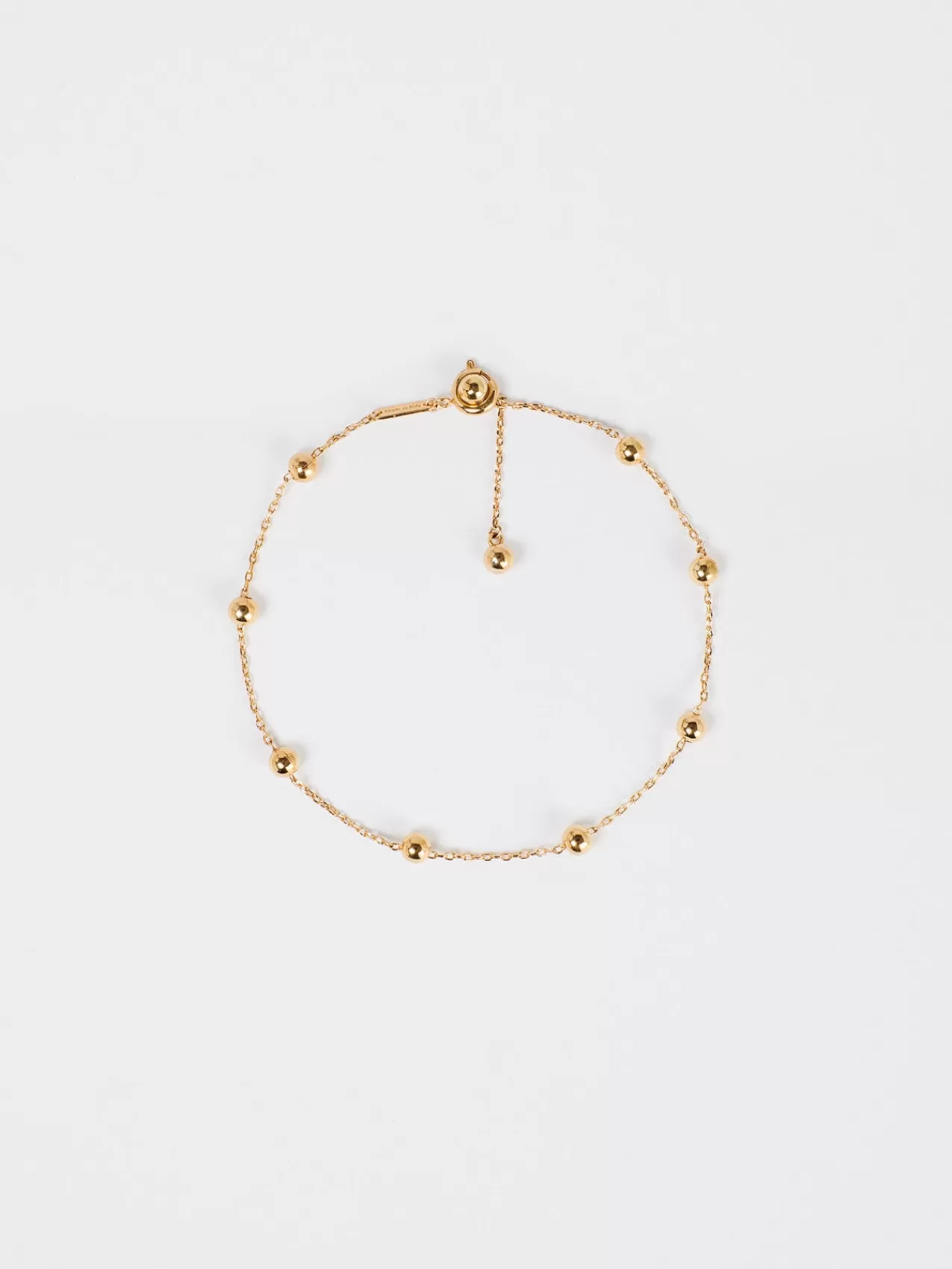 Fashion Leone Donne Cavigliere
